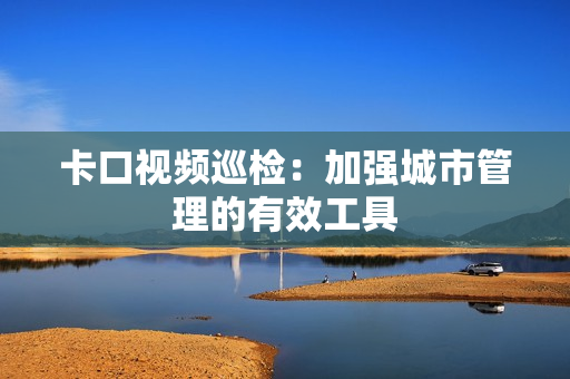 卡口視頻巡檢：加強城市管理的有效工具