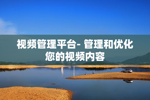 視頻管理平臺- 管理和優化您的視頻內容
