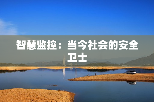 智慧監(jiān)控：當今社會的安全衛(wèi)士