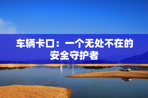 車輛卡口：一個無處不在的安全守護者