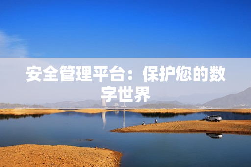 安全管理平臺(tái)：保護(hù)您的數(shù)字世界