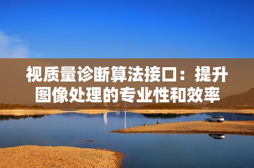視質(zhì)量診斷算法接口：提升圖像處理的專(zhuān)業(yè)性和效率