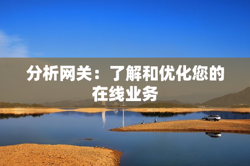 分析網關：了解和優化您的在線業務