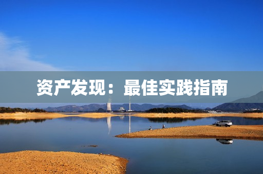 資產發現：最佳實踐指南