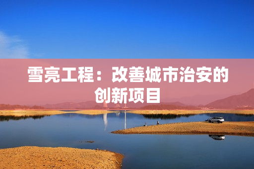 雪亮工程：改善城市治安的創新項目