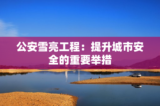 公安雪亮工程：提升城市安全的重要舉措