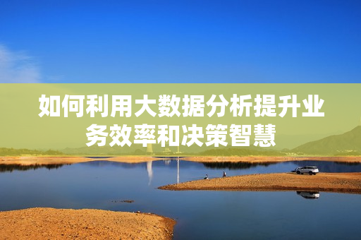 如何利用大數(shù)據(jù)分析提升業(yè)務(wù)效率和決策智慧