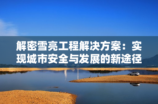 解密雪亮工程解決方案：實現城市安全與發展的新途徑
