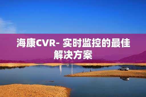 ?？礐VR- 實時監(jiān)控的最佳解決方案