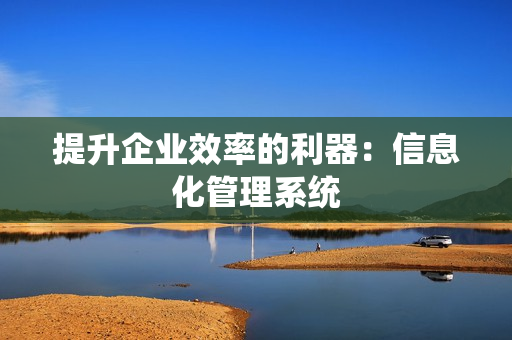 提升企業效率的利器：信息化管理系統