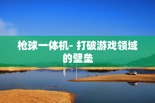 槍球一體機(jī)- 打破游戲領(lǐng)域的壁壘