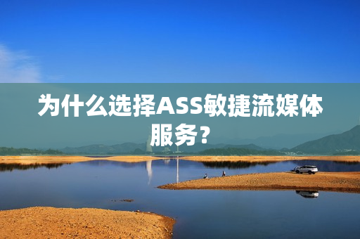 為什么選擇ASS敏捷流媒體服務？