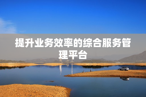 提升業務效率的綜合服務管理平臺