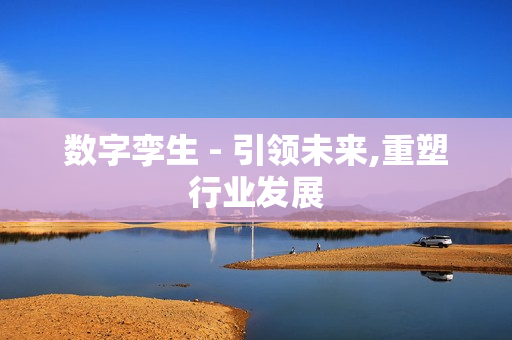數(shù)字孿生 - 引領(lǐng)未來,重塑行業(yè)發(fā)展