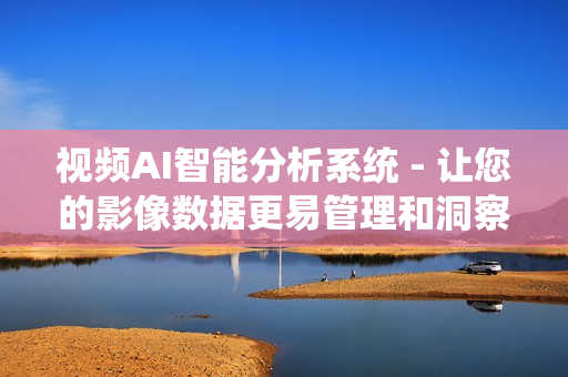 視頻AI智能分析系統 - 讓您的影像數據更易管理和洞察