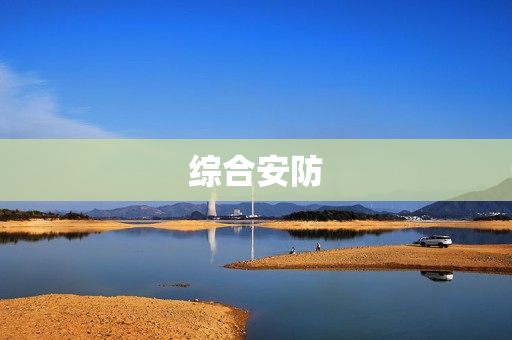 綜合安防