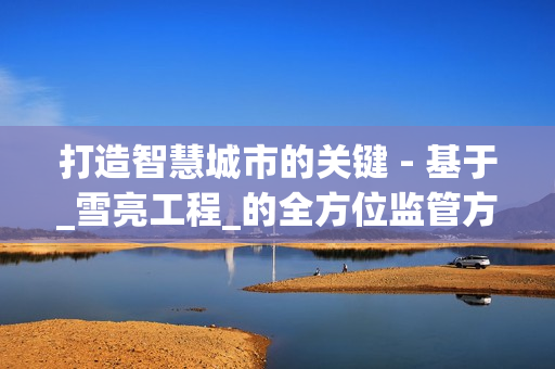 打造智慧城市的關(guān)鍵 - 基于_雪亮工程_的全方位監(jiān)管方案