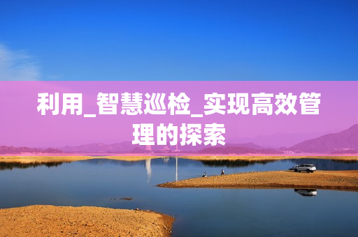 利用_智慧巡檢_實現高效管理的探索