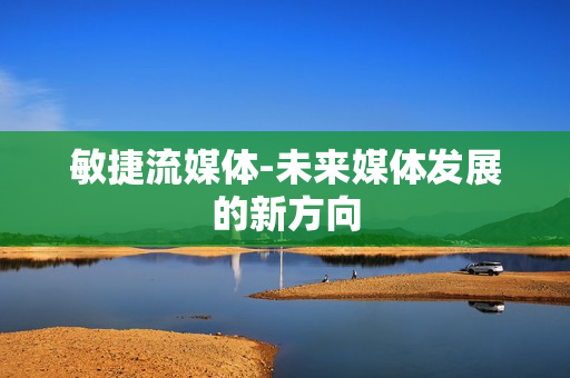 敏捷流媒體-未來媒體發展的新方向