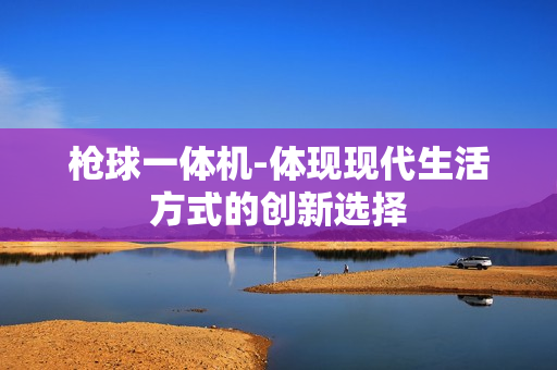 槍球一體機-體現現代生活方式的創新選擇
