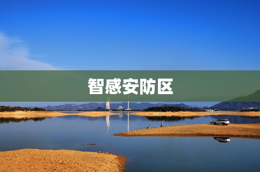 智感安防區