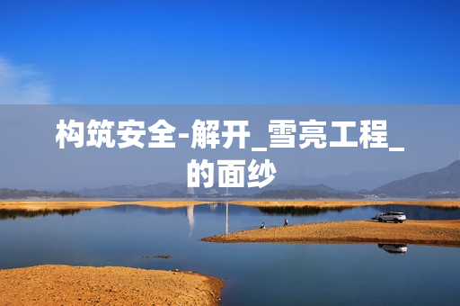構筑安全-解開_雪亮工程_的面紗