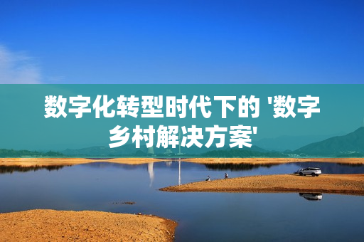 數(shù)字化轉(zhuǎn)型時代下的 '數(shù)字鄉(xiāng)村解決方案'