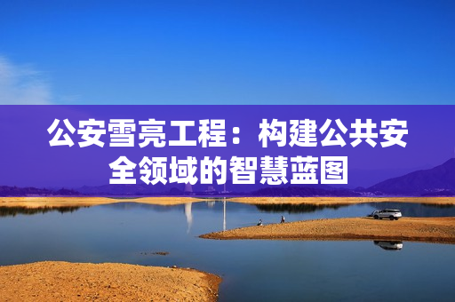 公安雪亮工程：構(gòu)建公共安全領(lǐng)域的智慧藍圖
