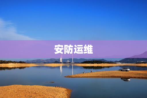 安防運維