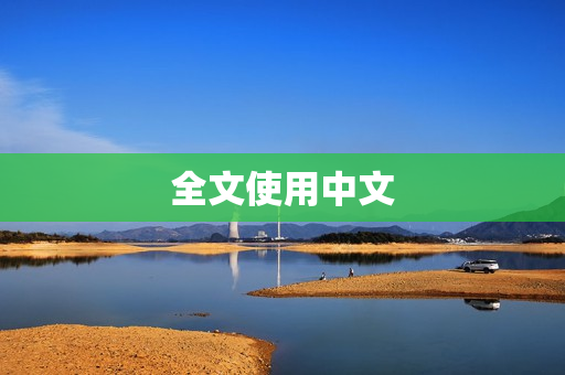 全文使用中文