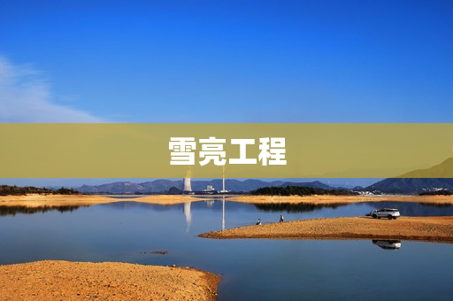雪亮工程
