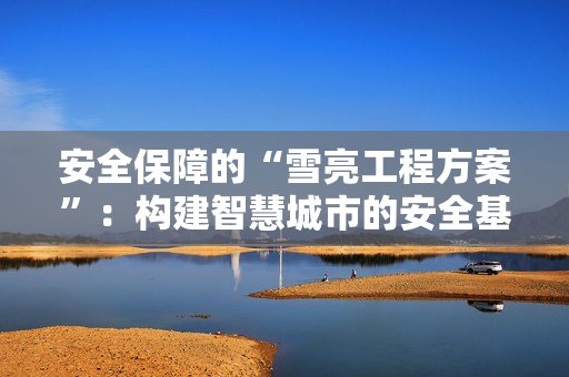 安全保障的“雪亮工程方案”：構建智慧城市的安全基石