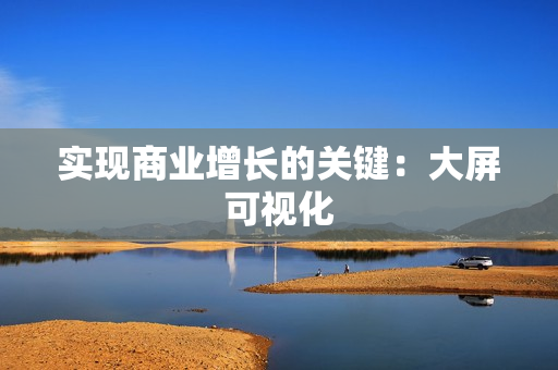 實(shí)現(xiàn)商業(yè)增長(zhǎng)的關(guān)鍵：大屏可視化