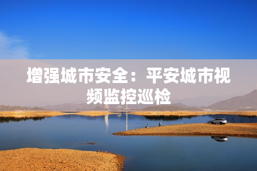增強城市安全：平安城市視頻監控巡檢