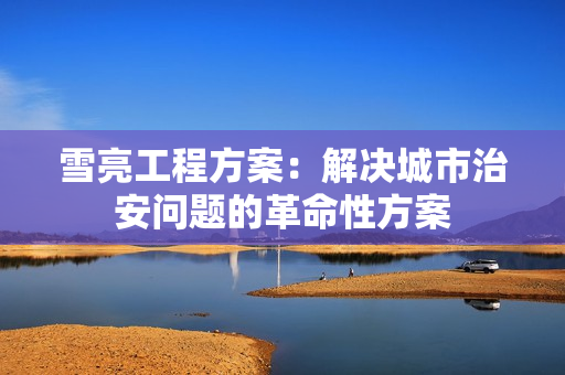 雪亮工程方案：解決城市治安問題的革命性方案