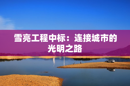 雪亮工程中標：連接城市的光明之路