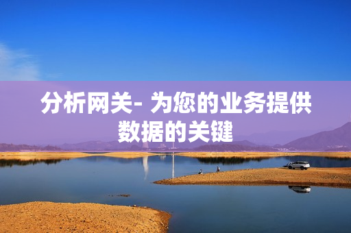 分析網(wǎng)關(guān)- 為您的業(yè)務(wù)提供數(shù)據(jù)的關(guān)鍵