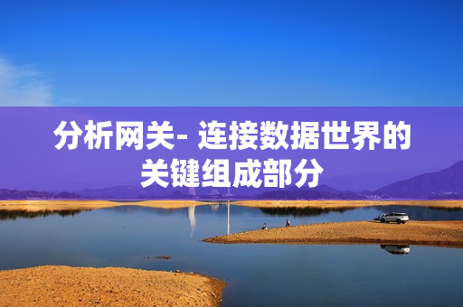 分析網關- 連接數據世界的關鍵組成部分
